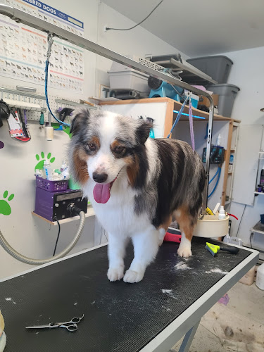 Toilettage Kristine Charron