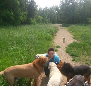 Pampered Paws Dog Walking