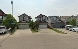 Who Let The Dogs Out