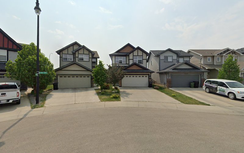 Who Let The Dogs Out