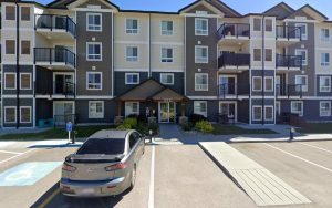 Hemant Bedi Dog Walker