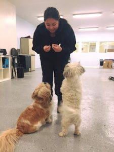 Pacific Northwest Kennels