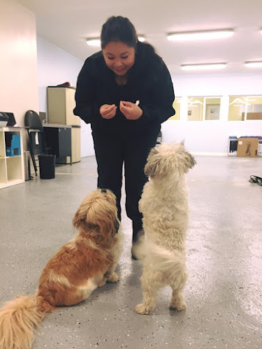 Pacific Northwest Kennels