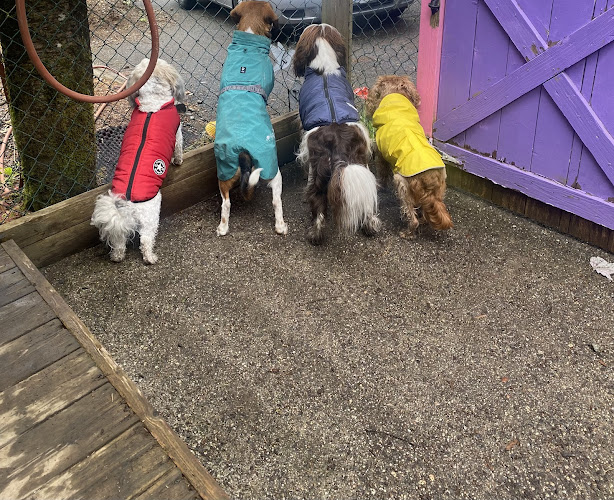 Hugs & Kisses Doggie Daycare Inc.