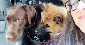 Purple Paws™ Pet Sitting