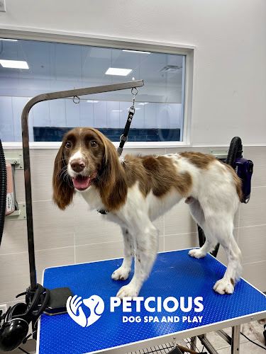 Petcious Dog Spa and Play