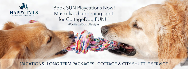 Happy Tails Pet Resort & Camp