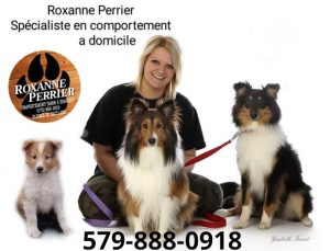 Roxanne Perrier , spécialiste en comportement canin a domicile