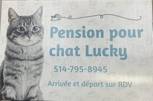 Pension pour Chat Lucky