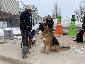 Dog Equi-libre
