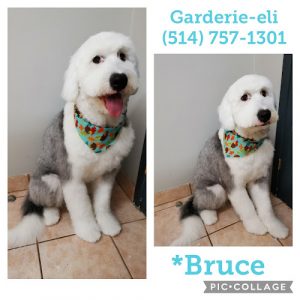 Garderie-eli