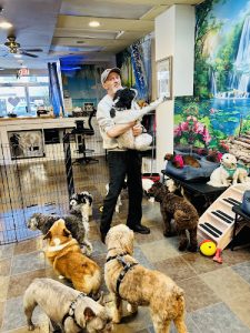 Pipsqueak Pups Daycare, Home Boarding & Grooming