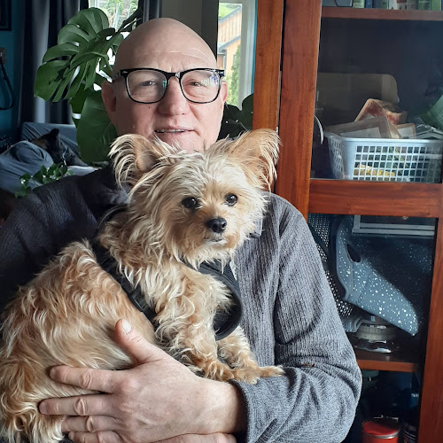 West End Dog Sitting