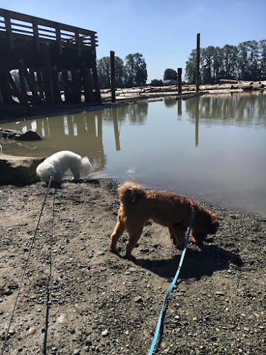 Happy Stays Small-Dog Boarding