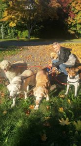 Marpole Dog Walking & Boarding Service