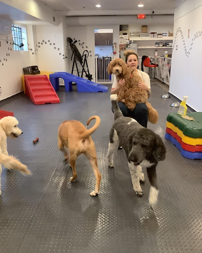 Woof & Wags Dog Daycare and Pet Services Inc