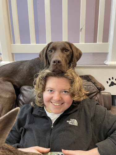 Paws to Play – Dog Daycare & Grooming Centre