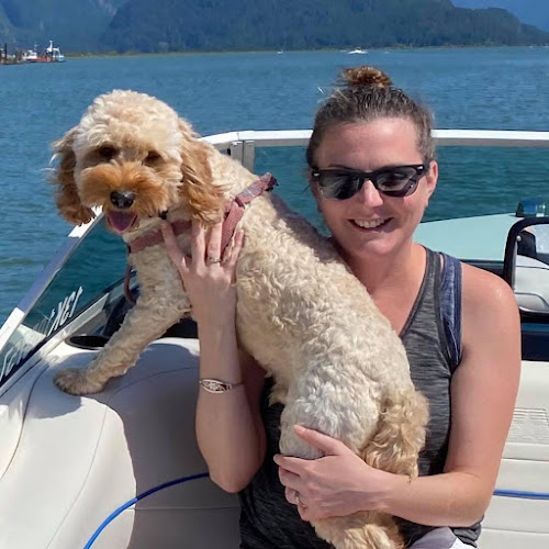 PetStride – Dog Walking and Pet Sitting