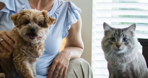 Cats Plus Pet Sitting