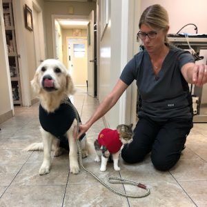 College Manor Veterinary Hospital