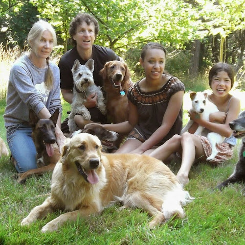 Wonderdogs Training LTD.