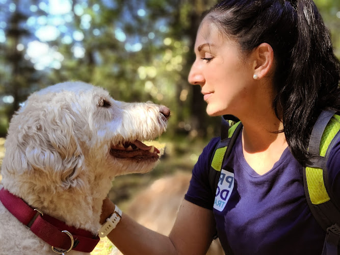 Mission Paws Dog School