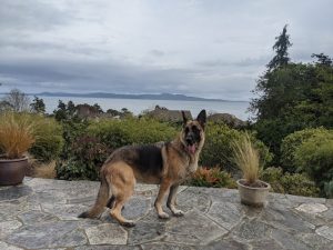 SIT SPECIALIZED INDIVIDUALIZED TRAINING