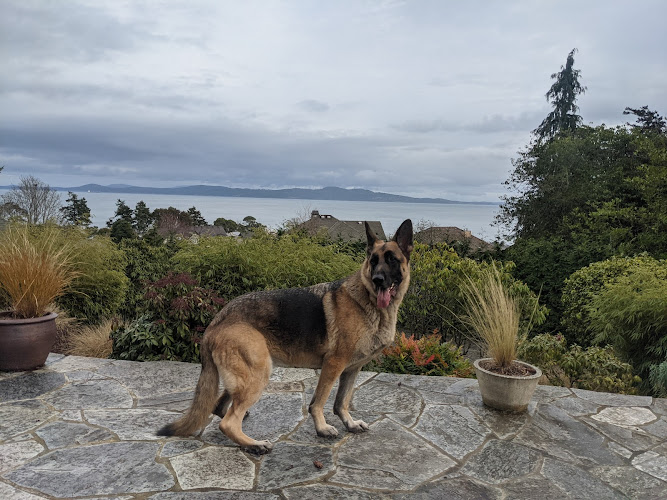 SIT SPECIALIZED INDIVIDUALIZED TRAINING