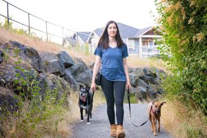 Authentic Canine Training