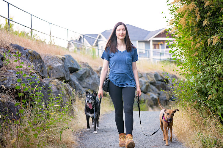 Authentic Canine Training