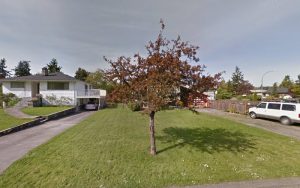 2 Paws Up Dog Sports