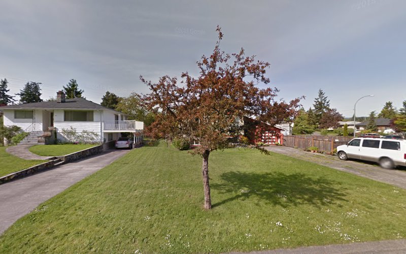 2 Paws Up Dog Sports