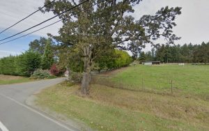 West Coast Canine Academy