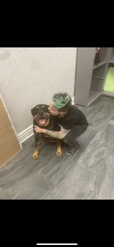 Casey’s Pet Grooming & Doggie Daycare