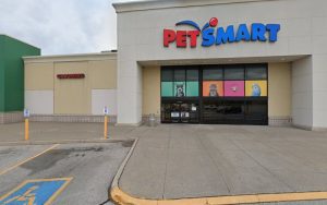 PetSmart Dog Training