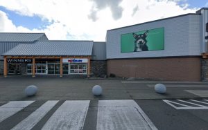 PetSmart Dog Training