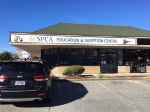 BC SPCA Tri-Cities