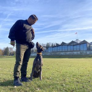 Boss Co Dog Training