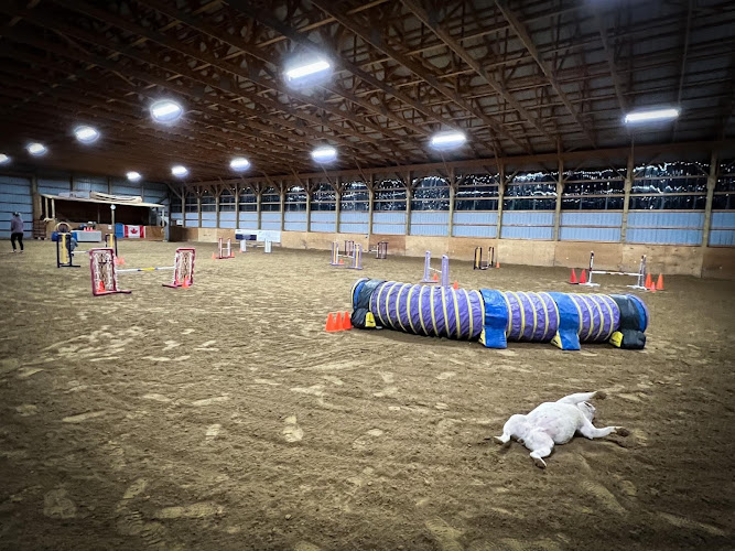 Rolling Gait Canine Centre