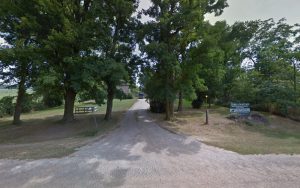 Motivational Dog Training