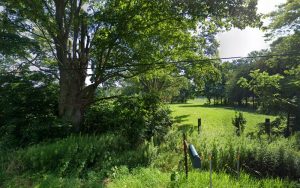Oxford IPO Working Dog Club