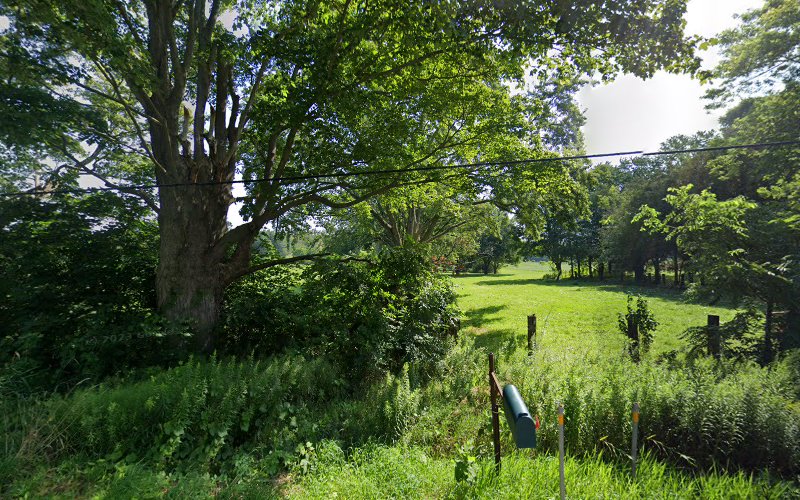 Oxford IPO Working Dog Club