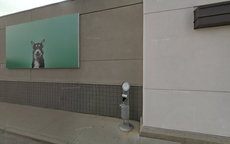 PetSmart Dog Training