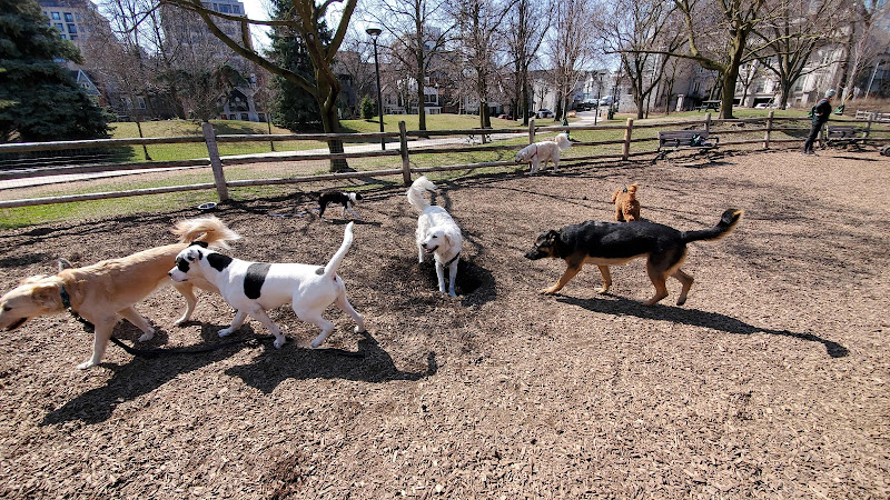 Bow Wow Meow Petcare