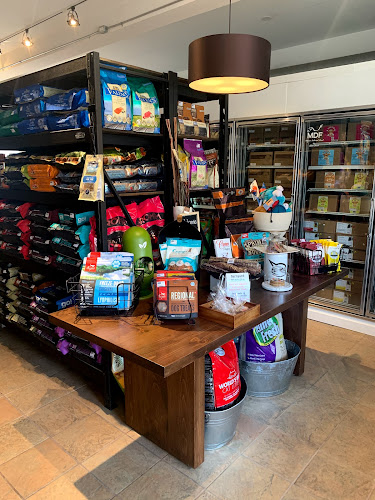 Tail Blazers Inglewood