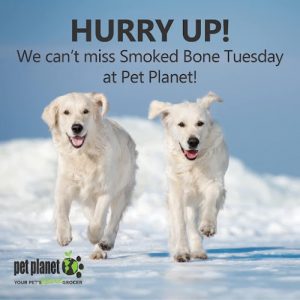 Pet Planet Country Hills Town Centre