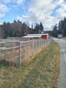 Clifton Royal Dog Boarding Kennels Ltd