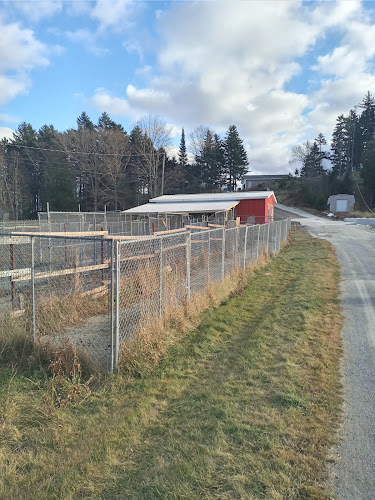 Clifton Royal Dog Boarding Kennels Ltd