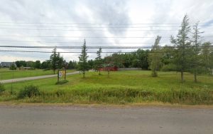 Paws & Play K9 Services