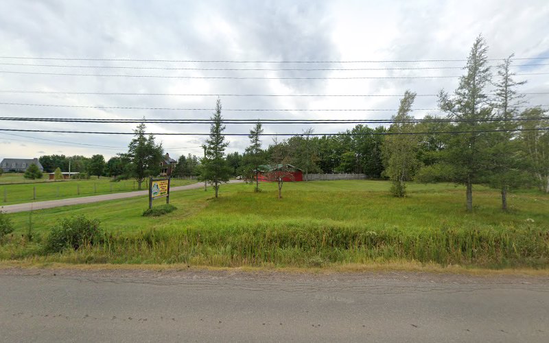 Paws & Play K9 Services